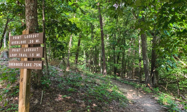 Panther Creek State Park, Tennessee, USA